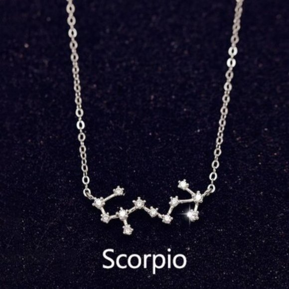 Jewelry - NEW Silver Zodiac Necklace - Scorpio